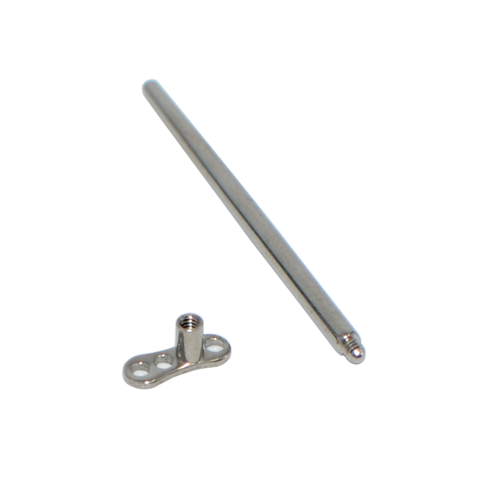 Хирургическая вставка из нержа – обзор и цена Body Jewelry Surgical Steel